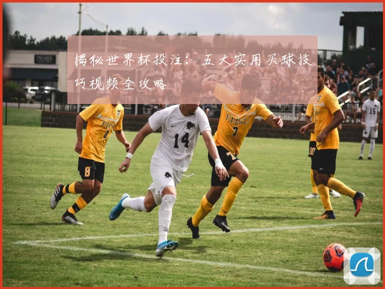揭秘世界杯投注：五大实用买球技巧视频全攻略